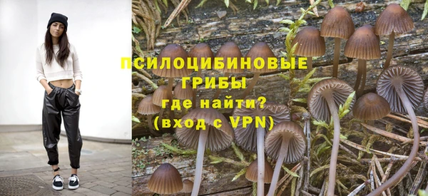 молекула духа Абинск