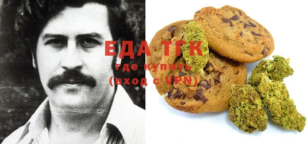 хмурый Алзамай