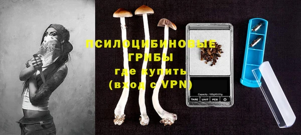 хмурый Алзамай