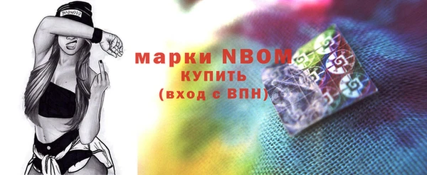 хмурый Алзамай