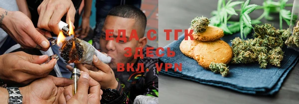 хмурый Алзамай