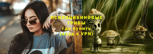 хмурый Алзамай