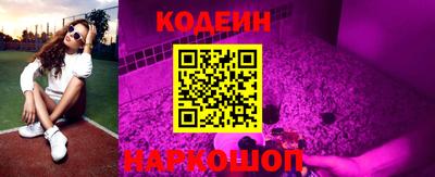 МДПВ Камышлов