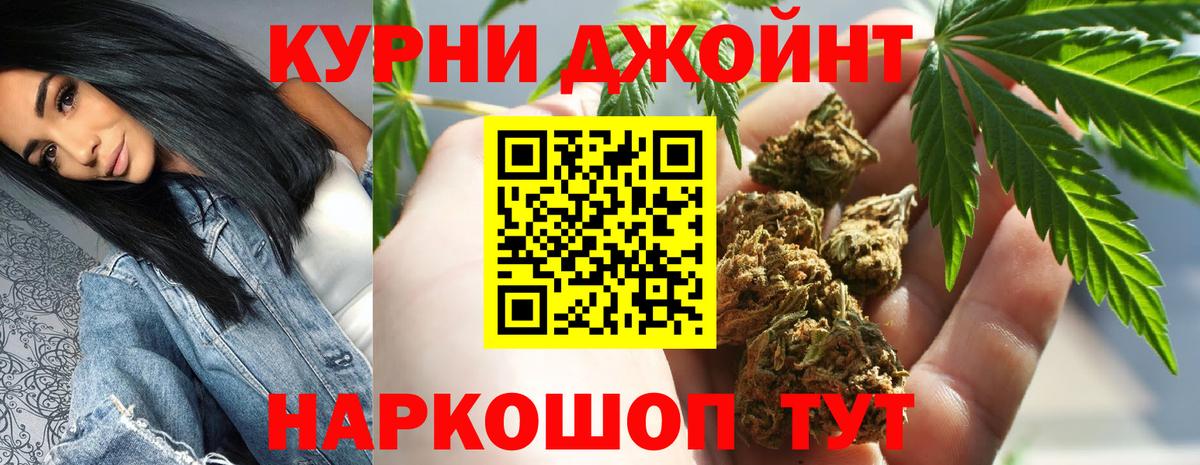 Шишки марихуана тримм  Каннабис OG Kush  МАРИХУАНА план  Вход с VPN  Лабытнанги  Канабис Bruce Banner 